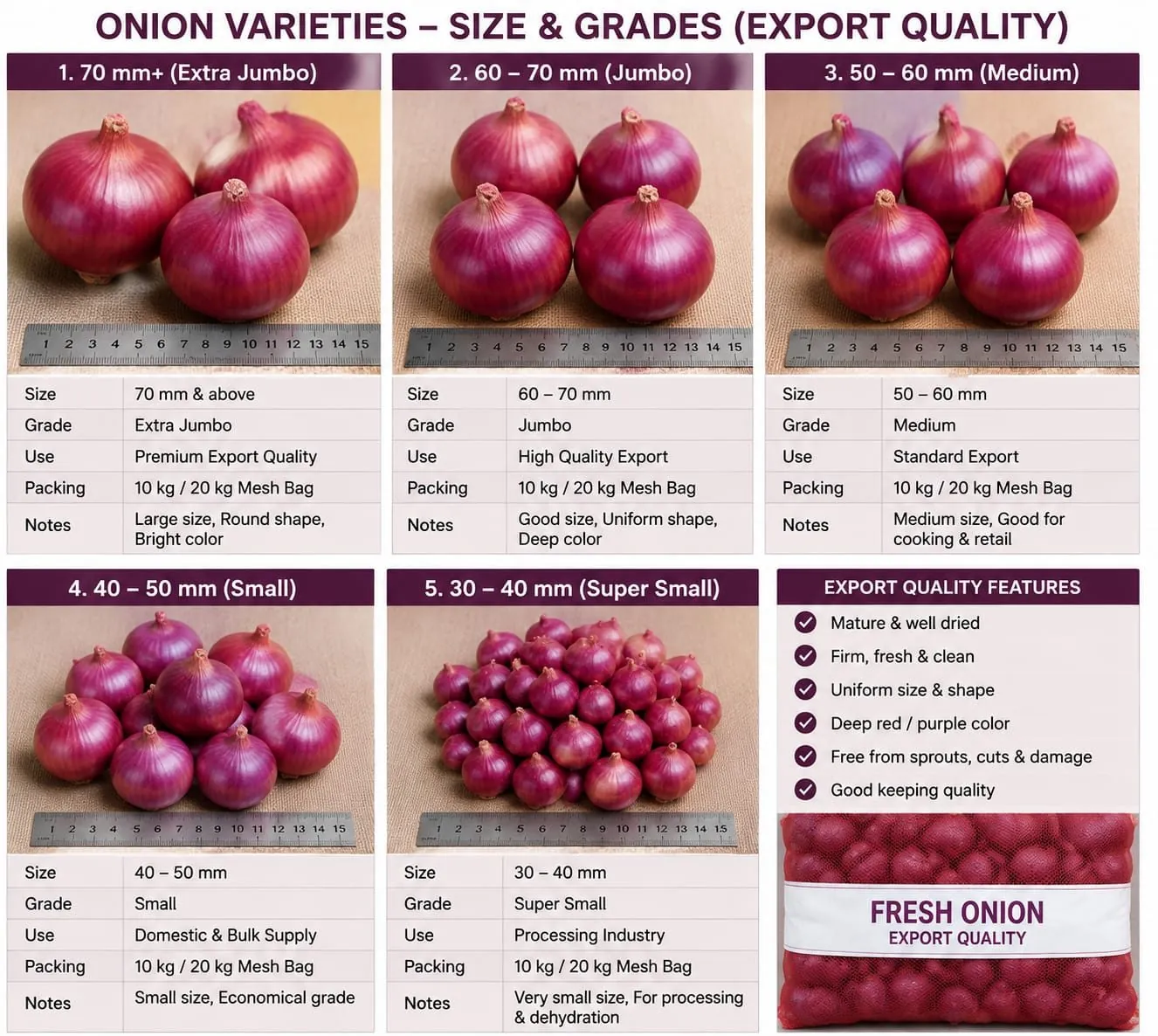 Printed Shaarav grade sheet for five onion sizes from 70 mm extra jumbo to 30–40 mm super small, each shown against a ruler